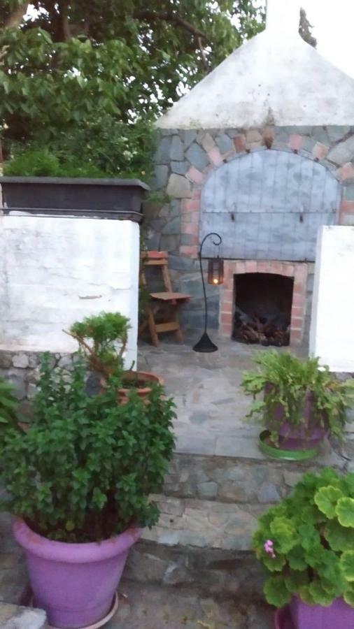 Villa Irini House à Arménoi Extérieur photo